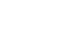 Lincoln financial logo white